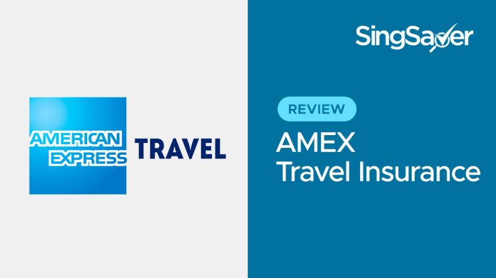 American Express Travel Insurance Review: Ideal For Frequent Fliers