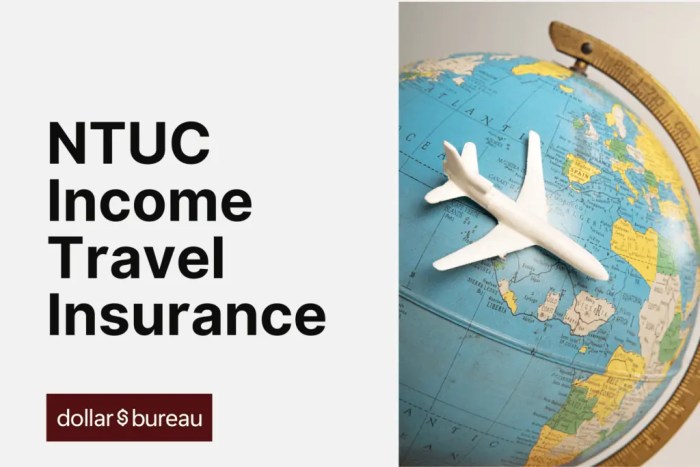 NTUC Income Travel Insurance Review | [2025] Dollar Bureau