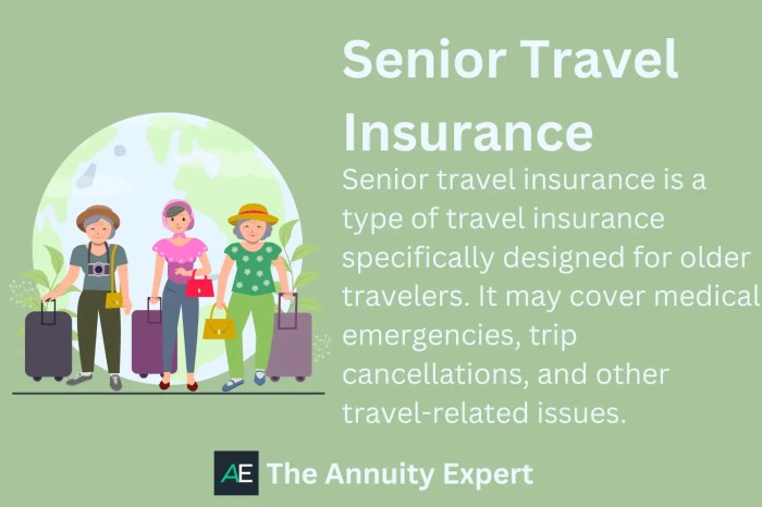 The Best Travel Insurance For Seniors (From .71 Per Week)
