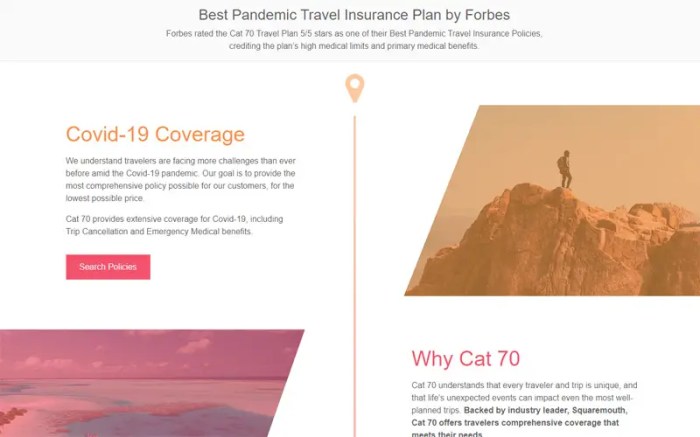 Cat 70 Travel Insurance Review - Life Insurance Quotes