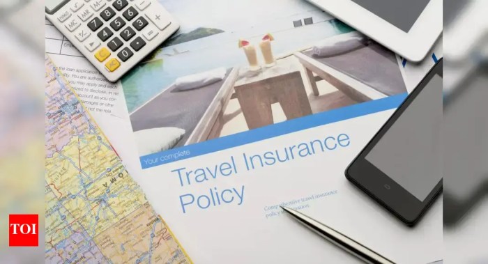 Cat 70 Travel Insurance Review - Life Insurance Quotes