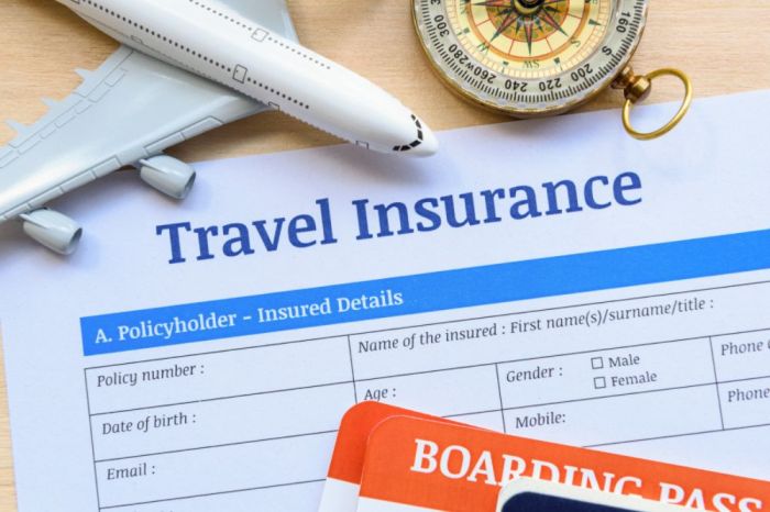 Why You Need International Travel Insurance - Savored Journeys
